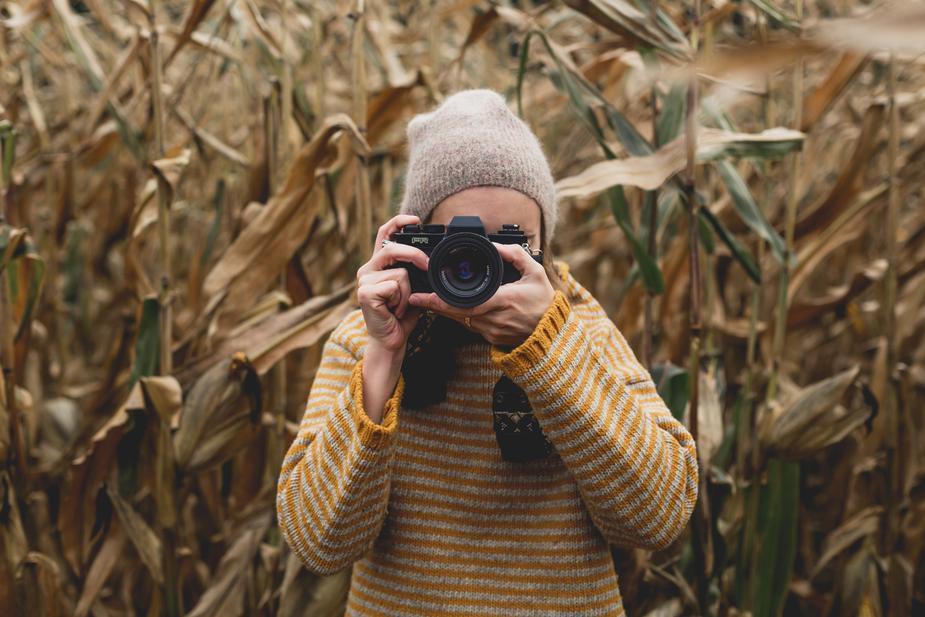イエローウールジャンパー